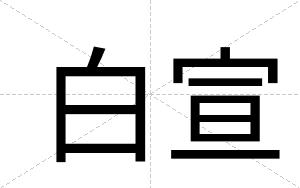 白宣 白宣