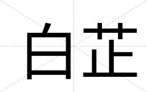 白芷 白芷