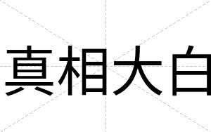 真相大白 真相大白