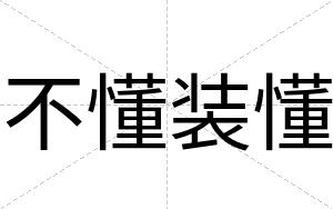 不懂装懂 不懂装懂