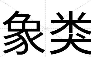 象类