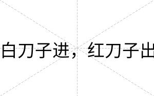 白刀子进,红刀子出 白刀子进,红刀子出