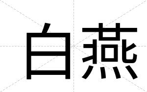 白燕 白燕