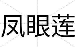 凤眼莲