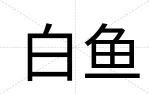 白鱼 白鱼