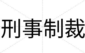 刑事制裁 刑事制裁