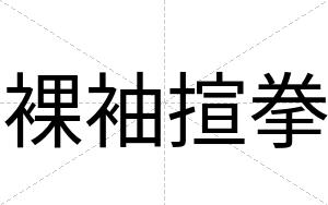 裸袖揎拳