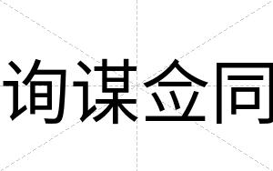 询谋佥同