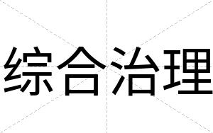 综合治理