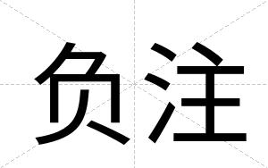 负注