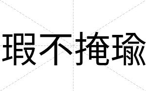 瑕不掩瑜 瑕不掩瑜