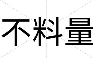 不料量 不料量